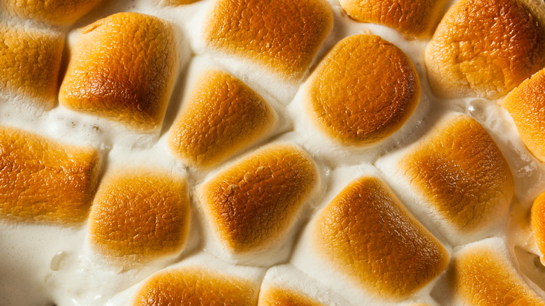 Toasted marshmallows stuck together