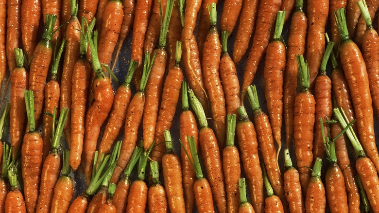 Mature carrots post harvest