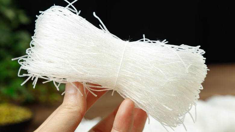 Hands holding nest of thin white rice noodles