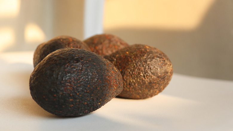 Ripe avocados sitting in the sunlight near a window