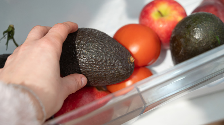 Hand reaching for a ripe avocado in the refrigerator