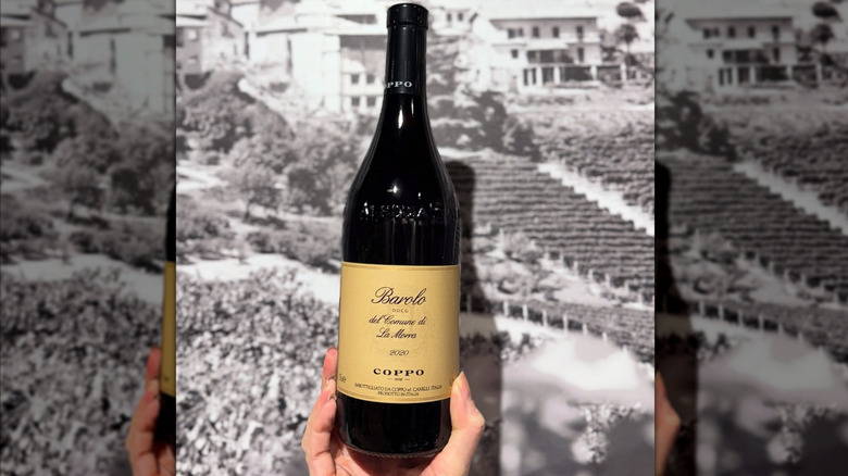 hand holding bottle of red wine