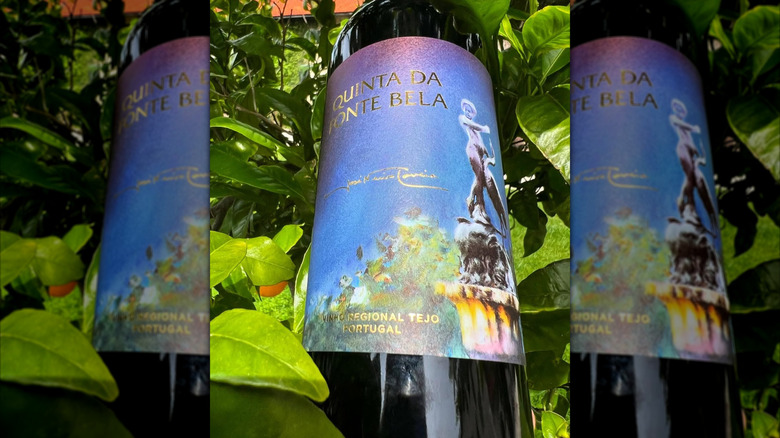 closeup wine bottle label