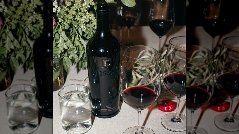 red wine bottle with glasses and plants