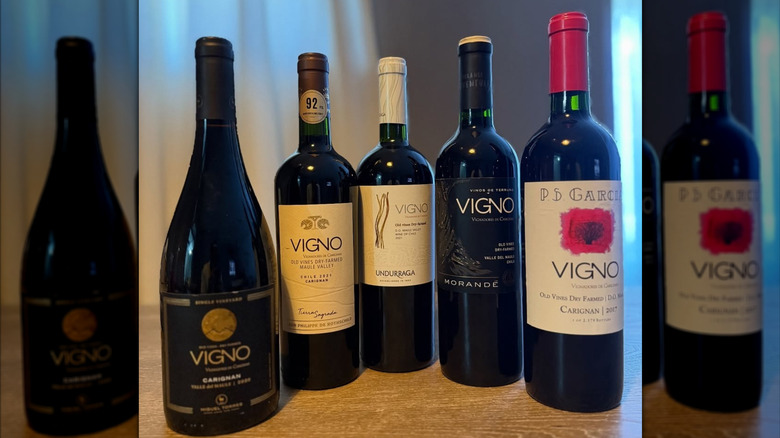 lineup of red wine bottles