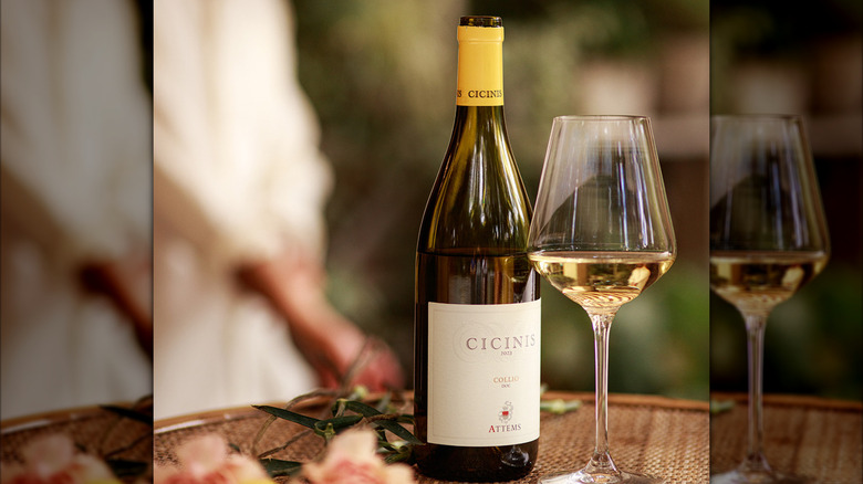 Bottle of Cicinis Sauvignon Blanc 2024 with a wine glass on a tabletop