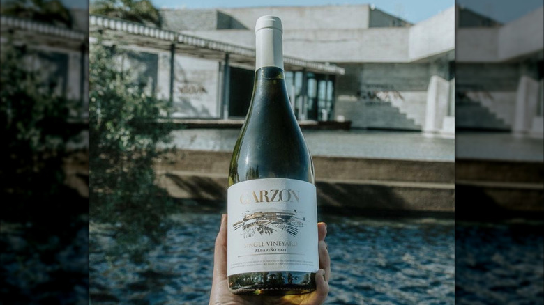 Hand holding a Single Vineyard Albariño 2023 bottle over water