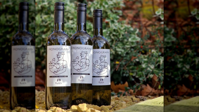 Three Monograph Assyrtiko 2024 bottles lined up outdoors