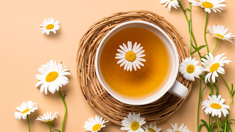 A cup of chamomile tea and chamomile buds on a beige background