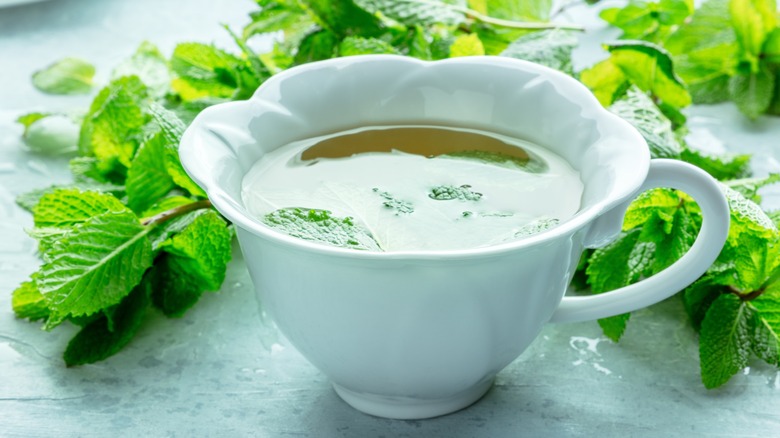 A cup of peppermint tea with fresh peppermint leaves in the background
