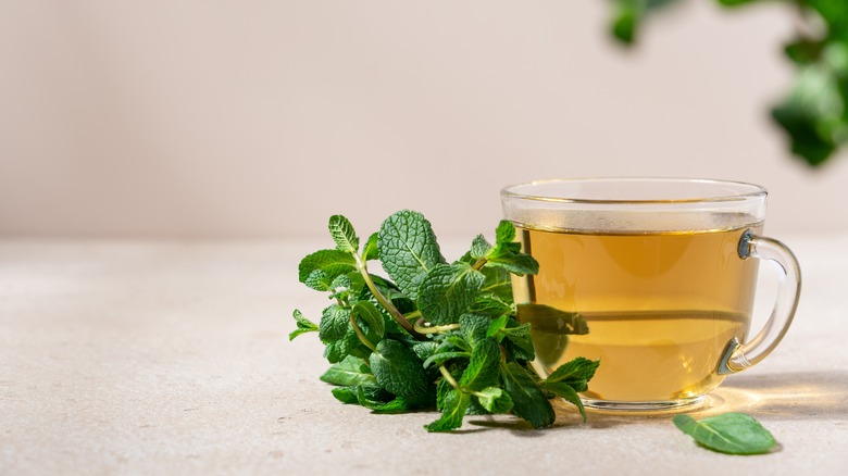 Transparent cup of spearmint tea with spearmint leaves beside it