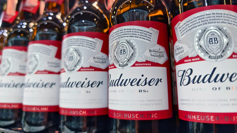 A close up of of a row of Budweiser bottles on a store shelf