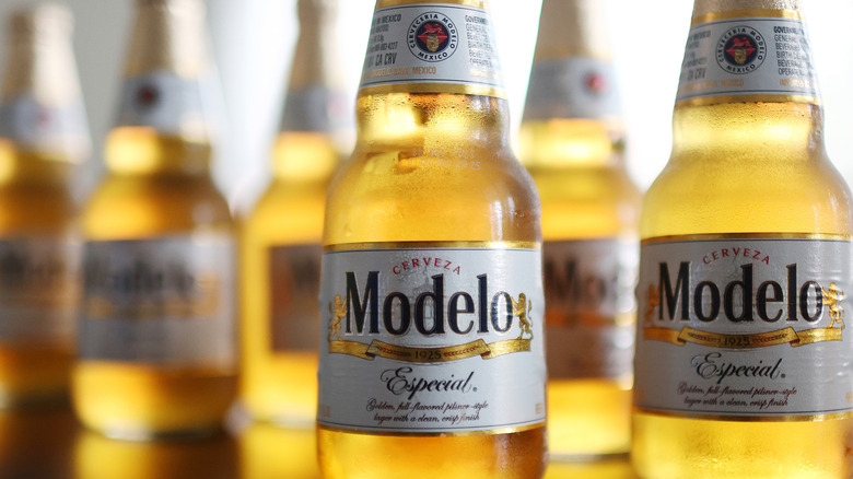 A close shot of several bottles of Modelo Especial
