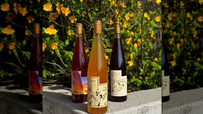 assorted natural wine bottles with flowers