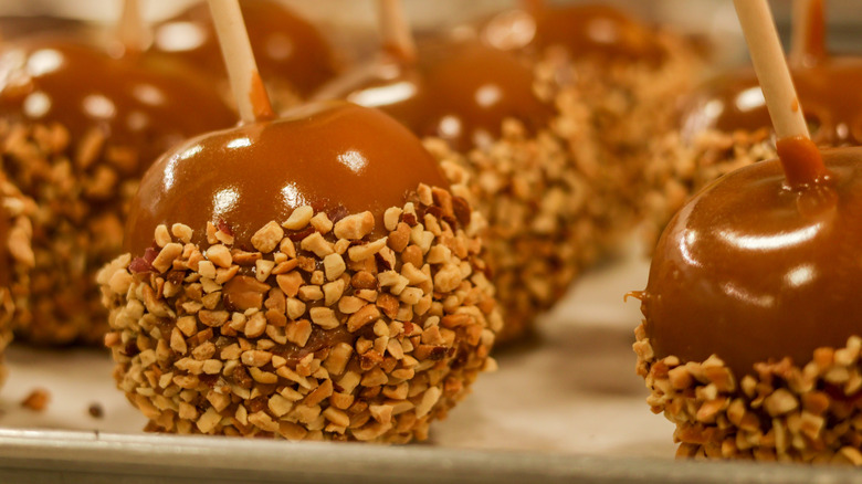 Caramel apples dipped in nuts on display