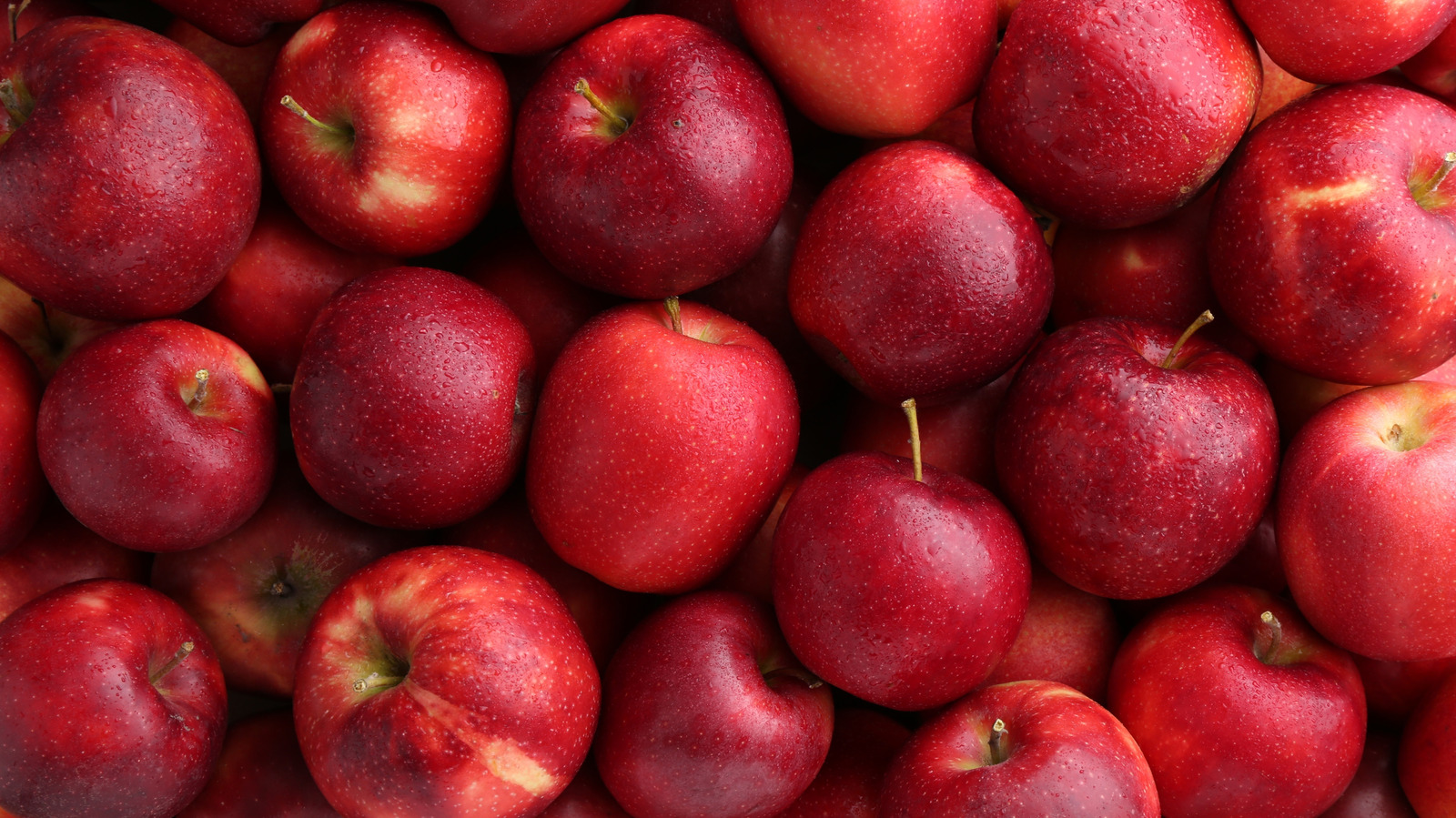 10 Best Classic Apple Desserts, Hands Down
