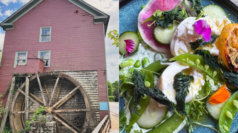 Split image of Waterwheel restaurant front in Virginia and a vegetarian plate