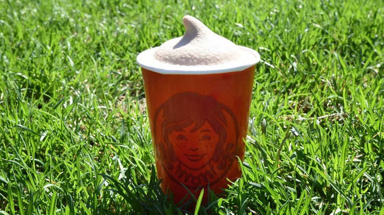 A cup full of Wendy's Frosty placed on grass.
