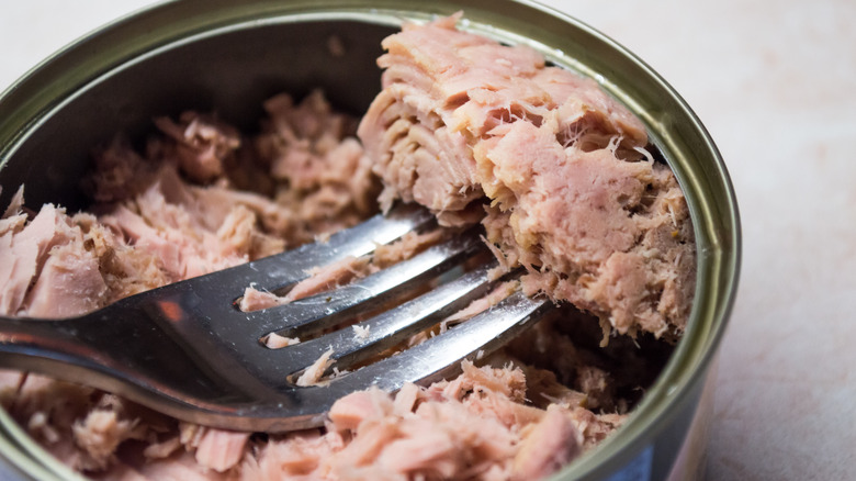 Opened can of tuna with fork
