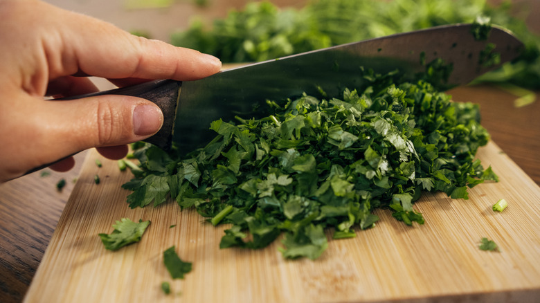Chopping fresh cilantro on wooden cutting board