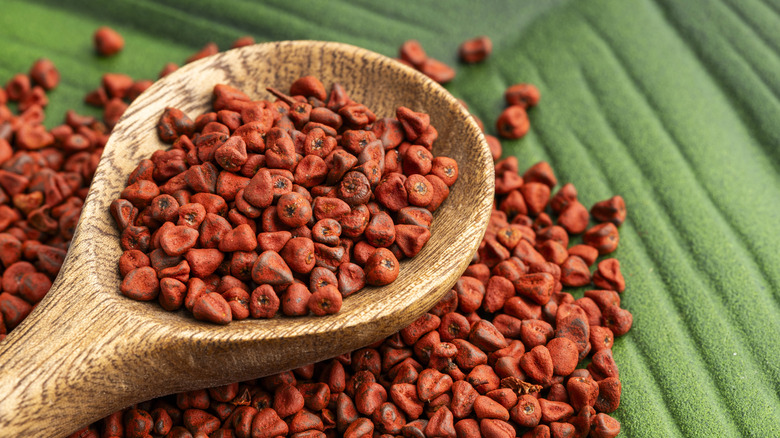 a wooden spoon filled with red annatto seeds, resting on more annatto seeds, on a palm leaf