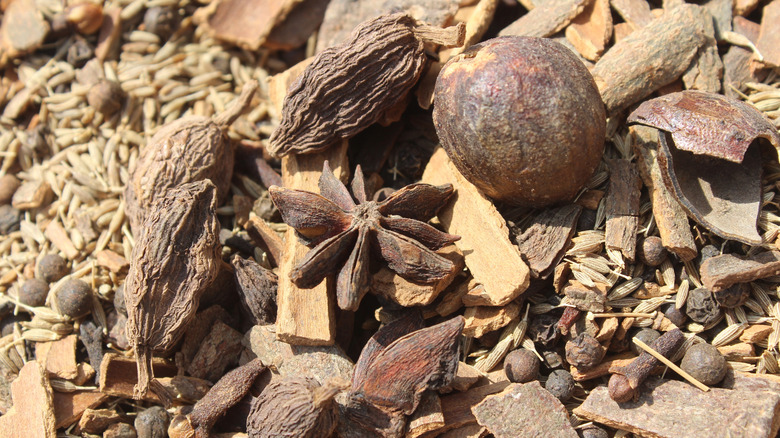 a mound of varied spices used to make garam masala, including cumin seeds, star anise, black cardamoms, and many others