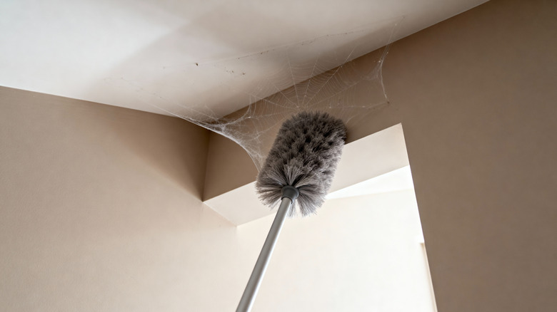 High reach duster removing cobwebs from ceiling
