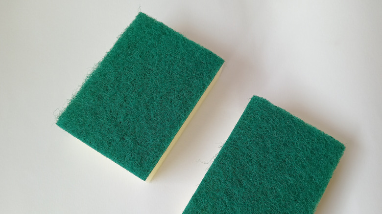 Two scouring pads