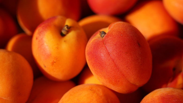 Ripe fresh apricots