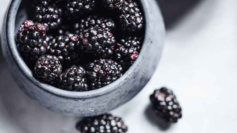 Bowl of fresh blackberries