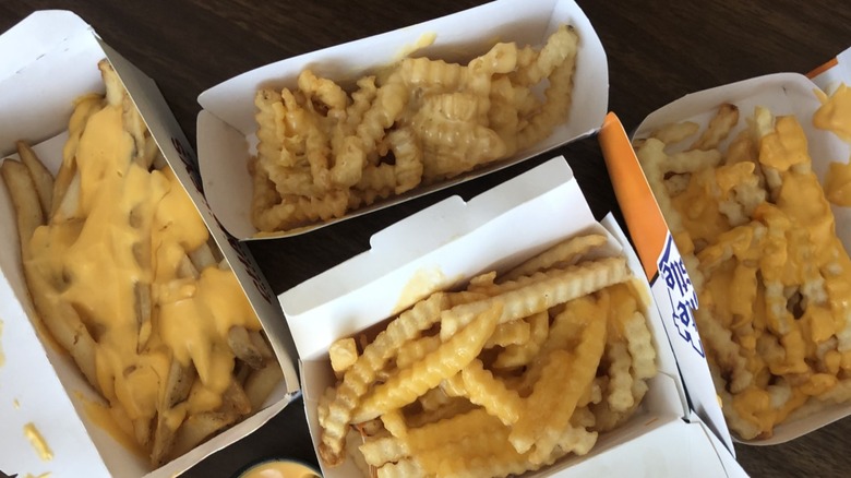 Cheese fries from different fast food restuarants.