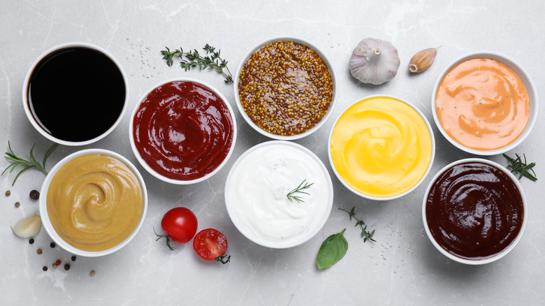 A spread of eight different sauces in white dishes against a gray background with herbs and spices.