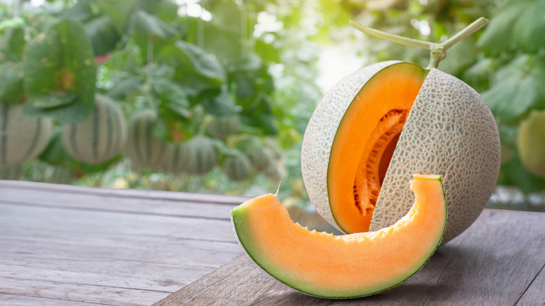 10 Cheapest Fruits To Grow In Your Garden This Year