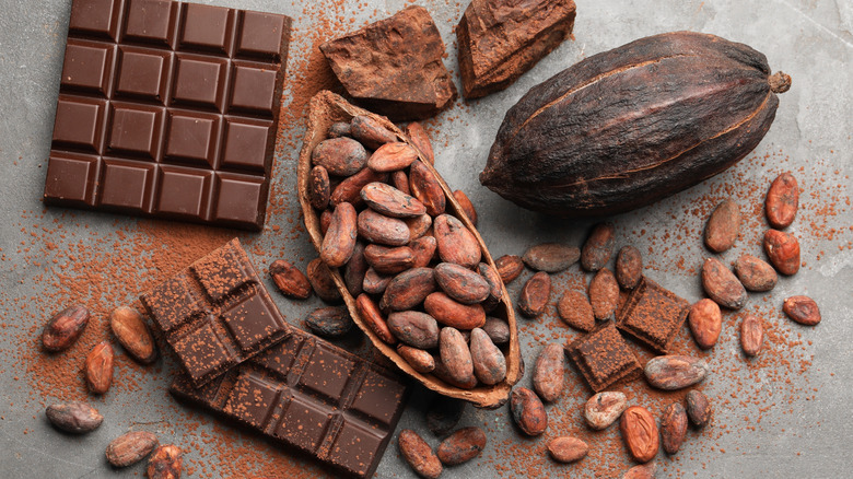 overhead shot of cacao beans and chocolate bars