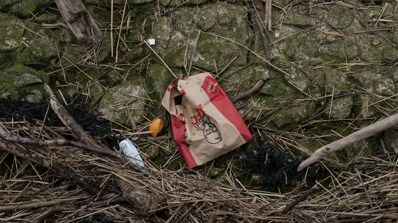 Discarded KFC bag seen against moss-covered rocks, fallen tree branches, and twigs.