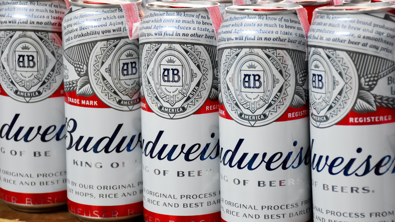 Shelf of Budweiser cans