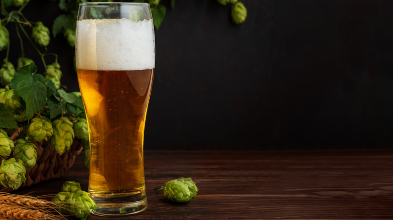 Glass of beer with hops in background