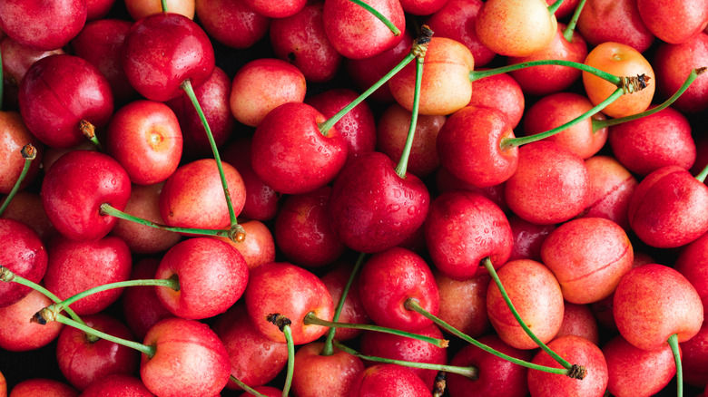 Ripe cherries with green stems in heap