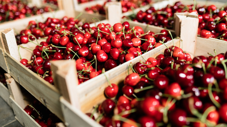 Wooden crates filled with shiny cherries