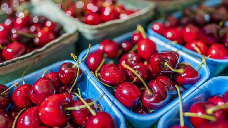 Red cherries at farmers market