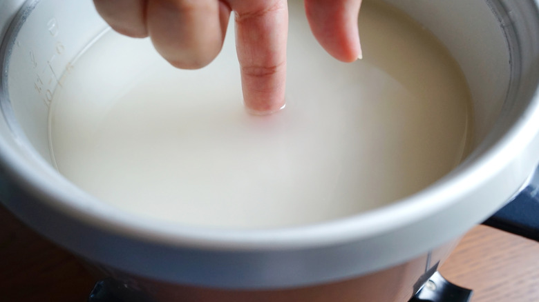 Person's hand measuring rice to water ratio with finger
