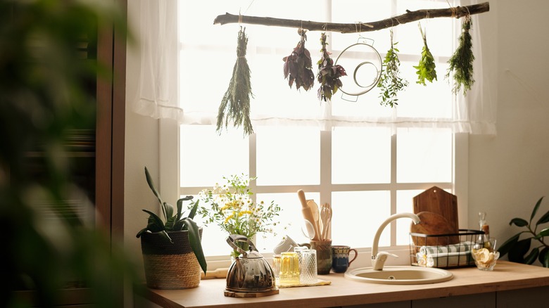 Kitchen sink area with a potted plant, fresh flowers, and dried herbs hanging from a branch.