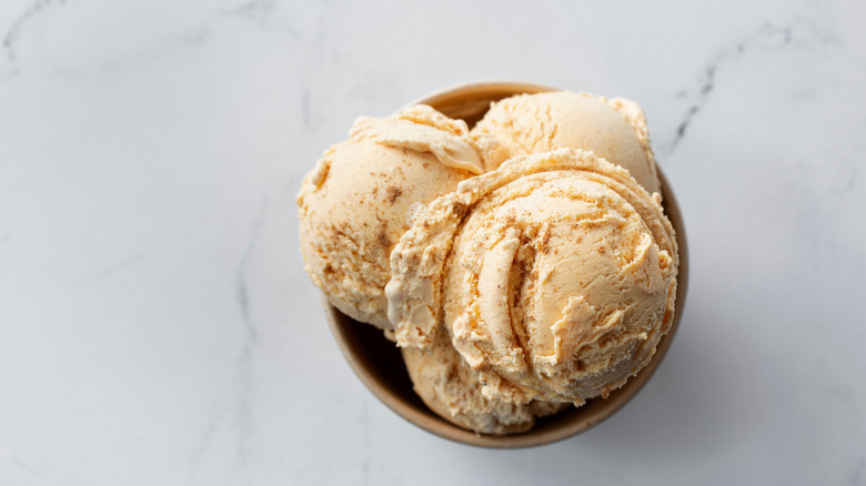 Bowl of pumpkin flavored ice cream