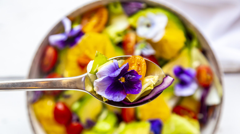 Close-up of several colored flowers held in a spoon