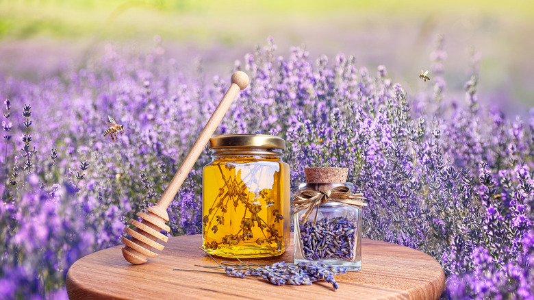 Jar of honey and jar of lavender buds on table, lavender field behind