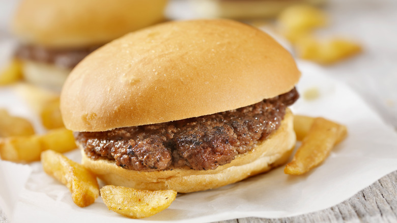 Hamburger close up image surrounded by fries in the back