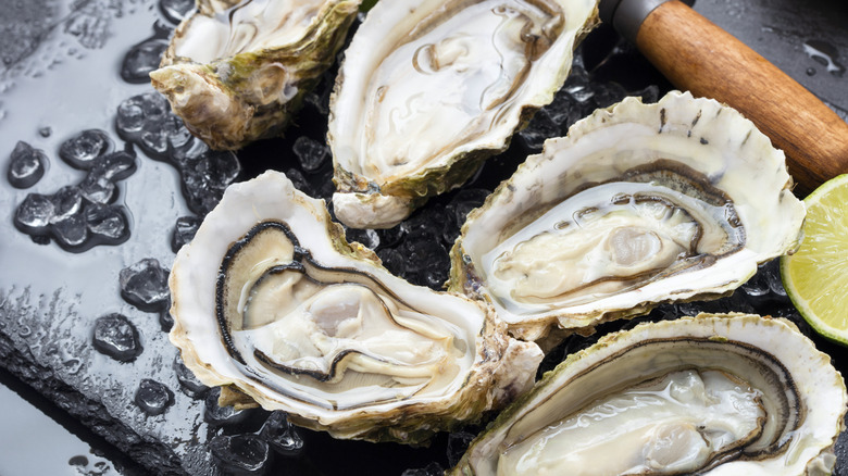Oysters on the half shell with a shucker