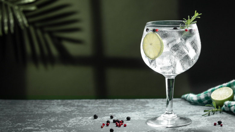 A large glass of gin shown on a countertop surrounded by fresh ingredients