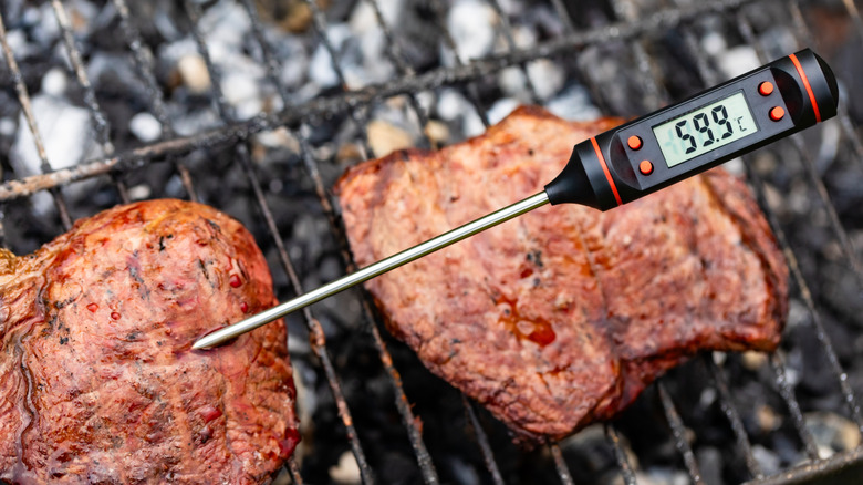 Meat thermometer stuck into a piece of meat