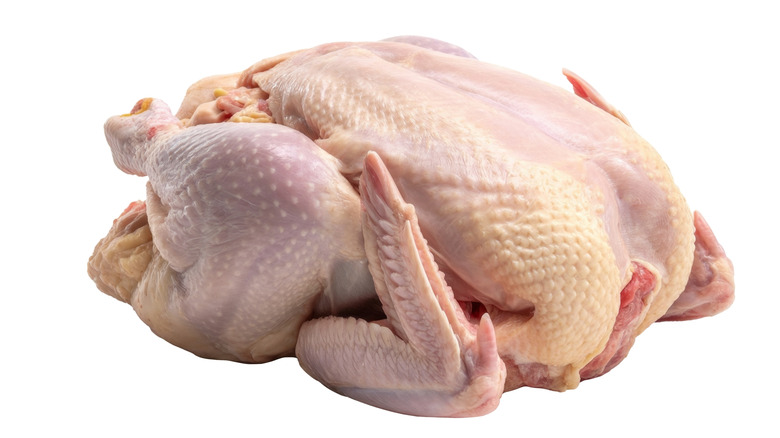 Whole raw chicken on white background